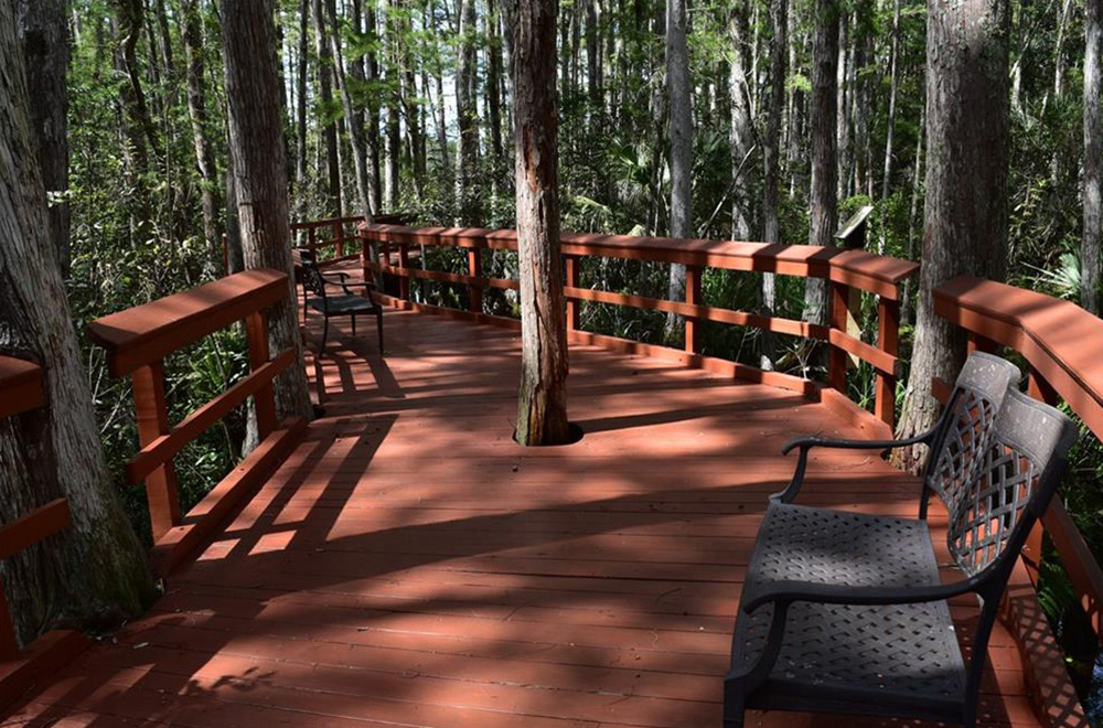 Colonial Country Club Nature Path